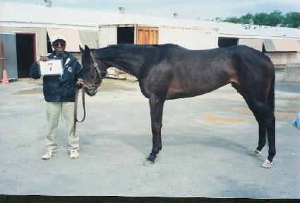 �����÷��� ����