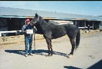 ���ߴֽ���Ƽ (FORTUNATE SWEETIE) ����