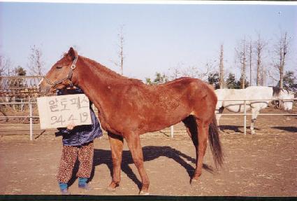 �����н� ����