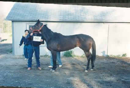 ��ν�Ʈ��Ŀ ����