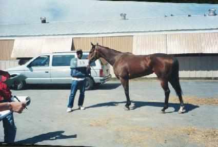 Ŭ���õ� ����