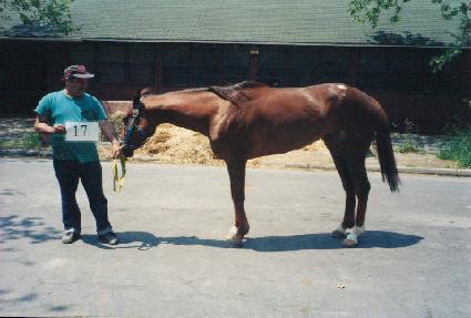 ������Ÿ ����