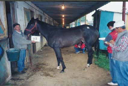 ������ü��Ű ����