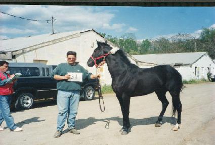 �����ξֽ����� ����