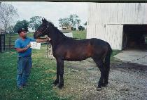 ������������ (ERIC��S TWO BODD) ����