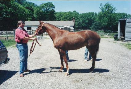 �������� ����