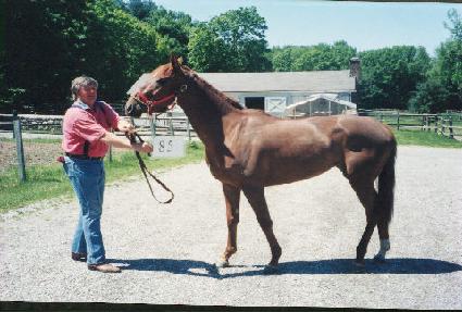 Ŭ���ķ���Ƽ ����