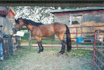 Ʈ���̽����̽� (TREY��S VOICE) ����