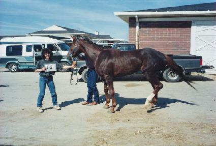 ��Ʋ�̽��� ����