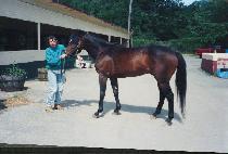 ���⽺�׷� (ZIGGY��S GROOM) ����