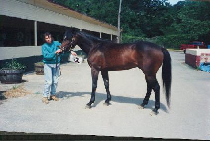 ���⽺�׷� ����