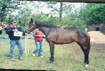 �ý������� (SISTER JANE) ����