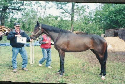 �ý������� ����