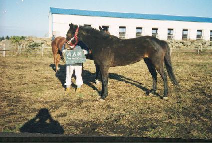 ������ ����