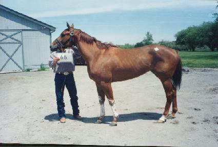 ����Ƽ����Ÿ�ӽ� ����