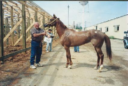 ĵ����÷��� ����