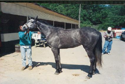 ����δ�Ű�� ����