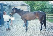 �Ḱ�� (MELEN BACK) ����