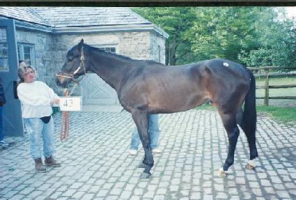 �Ḱ�� ����