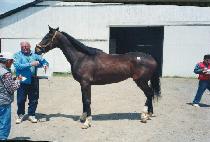 �ƿ󽺾��� (AWPS AYE) ����