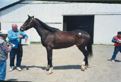 �ƿ󽺾��� ����