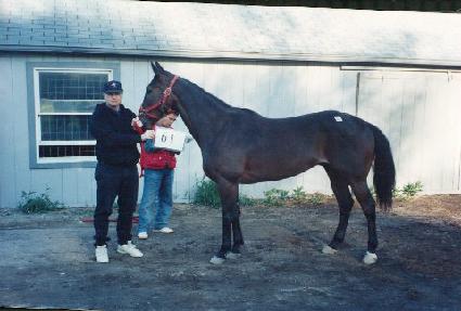 ��Ƽ��Ű ����