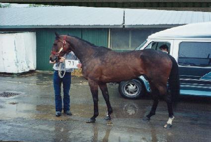 ��ƽ����� ����