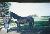 �ǹ������� (SILVER SCOPE) ����