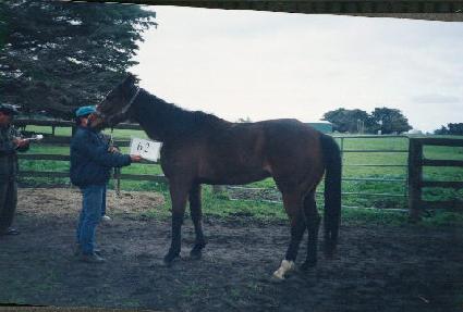 ���̵𺸸��� ����