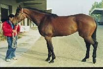 �¹��� (GOOD MOVER) ����