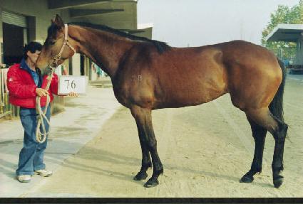 �¹��� ����