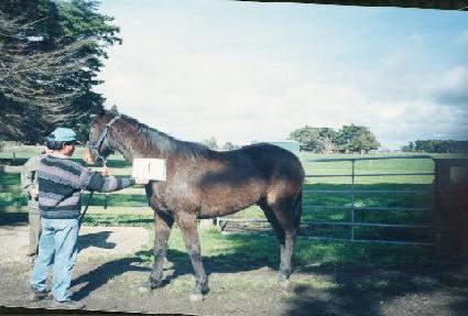 �Ұ��� ����