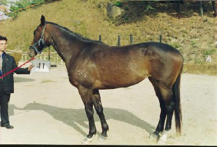 �¿��̽� ����