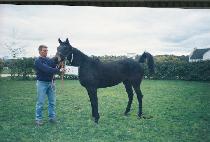 ���������� (THRILLING REBEL) ����