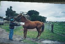 Ȳ������ (HWANGNYONGCH��ULHAE) ����