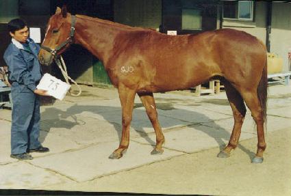 �Ѱ��뱳 ����