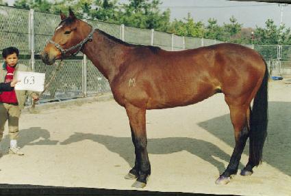 ������ ����