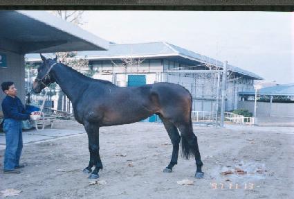 �������� ����