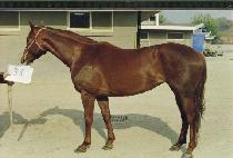 �뼺�� (TAESEONGGONG) ����