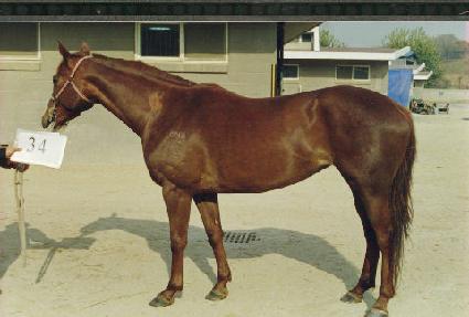 �뼺�� ����