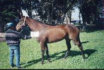 ����� (HEUIMANGCH��AN) ����