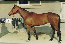 ������Ƽ (UMBIQUITY) ����