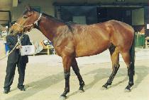 ��ö���� (TAECH��EOLGANGSEOK) ����