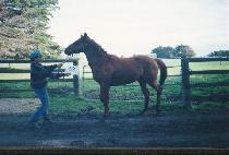 ȸ���� (HOESANG YEOLCH��A) ����