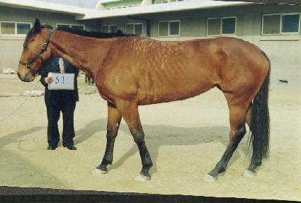 �ô��� ����