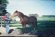 ���� (CHILJU) ����