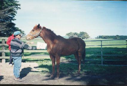 ���� ����