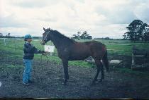 ĥ���� (CH��ILSEONGBONG) ����