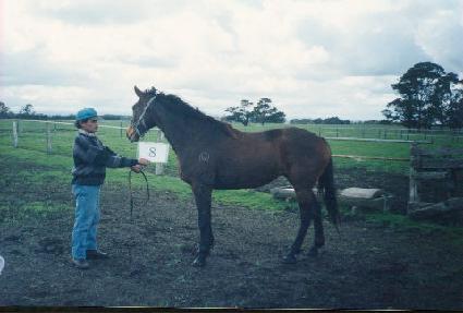 ĥ���� ����