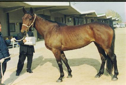 ����̽� ����